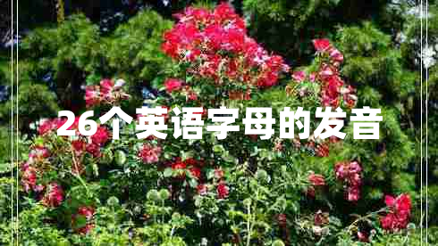 26個英語字母的發(fā)音 26個英語字母的發(fā)音