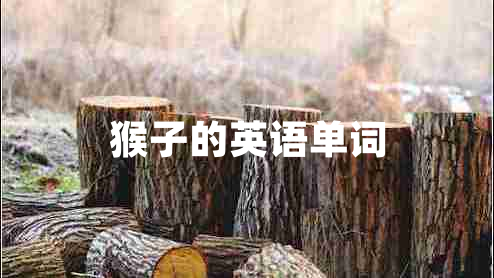 猴子的英語單詞