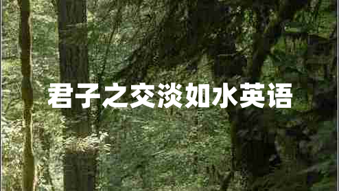 君子之交淡如水英語(yǔ)