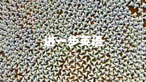 進一步英語 進一步英語