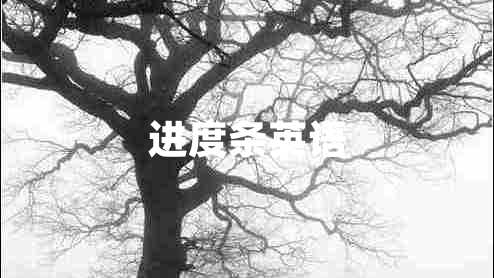 進(jìn)度條英語(yǔ) 進(jìn)度條英語(yǔ)