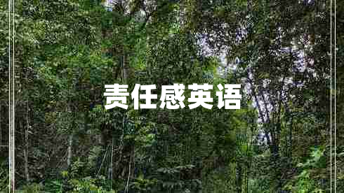 責(zé)任感英語 責(zé)任感英語