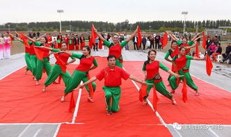 菊花節(jié)活動(dòng)策劃方案