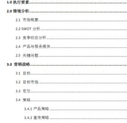 公司活動策劃方案word