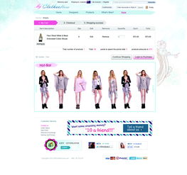 2013電商服裝品牌策劃運(yùn)作方案