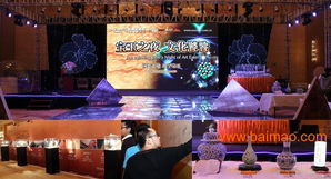 商業(yè)街周慶策劃方案