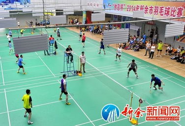 全市羽毛球比賽策劃方案