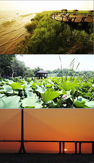 河南富景農(nóng)業(yè)生態(tài)旅游策劃方案