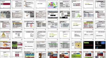 世聯(lián)地產(chǎn)策劃方案案例