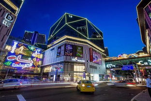 重慶狂歡節(jié)策劃--南濱路商業(yè)文化開發(fā)方案