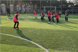 公益足球比賽策劃方案