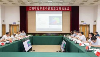 中醫(yī)養(yǎng)生小鎮(zhèn)策劃方案