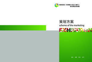 微股東產(chǎn)品策劃方案