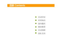 發(fā)布會(huì)方案策劃案