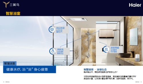 家裝協(xié)會(huì)策劃方案