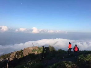 杜鵑花節(jié)慶活動策劃方案