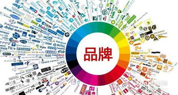 李寧品牌傳播方案策劃