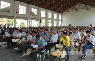 七一慶祝建黨94周活動策劃方案