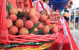 荔枝節(jié)方案策劃