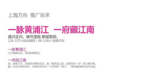 天使匯策劃方案