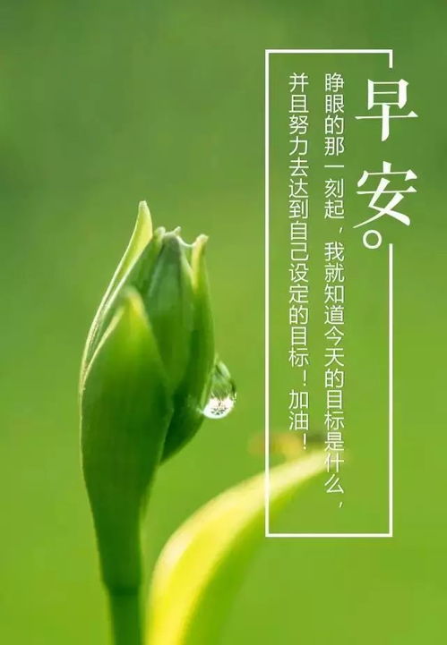 勵志早安心語正能量句子簡短