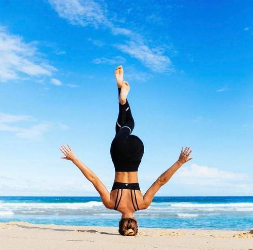 瑜伽,句子,能量,傳遞