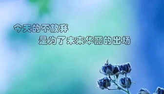 早上正能量的話語(yǔ)短句子