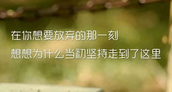 小雛正能量的句子