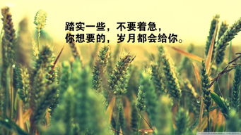 早上勵(lì)志語(yǔ)句正能量的句子