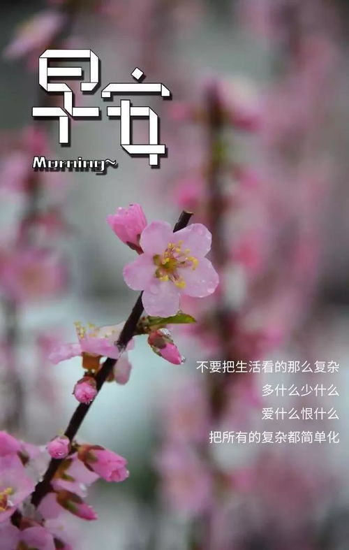 余生自己走正能量句子