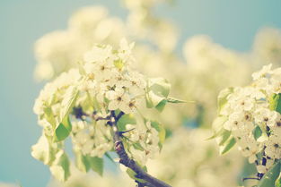 每天一段正能量的句子,一群正能量的女人句子,關(guān)于家的正能量句子