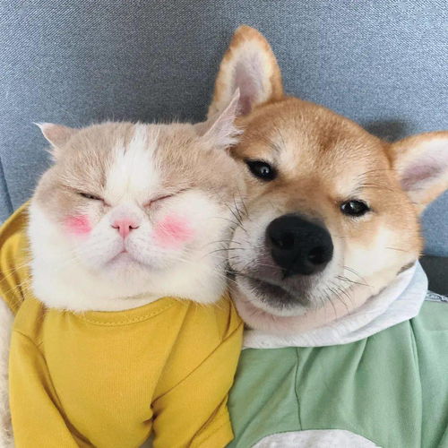 美好時光正能量的句子經典語句