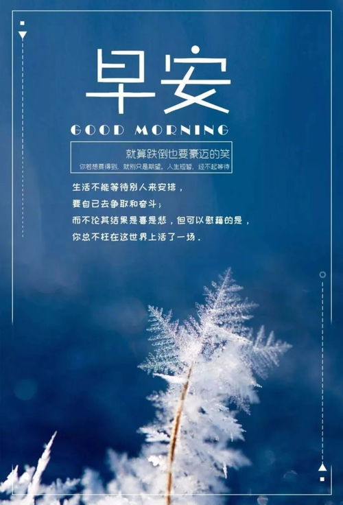 簡短,句子,唯美,能量