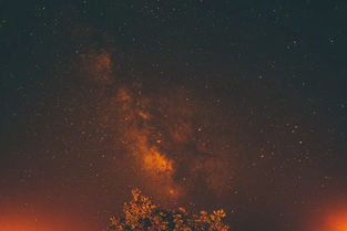 白落梅正能量句子