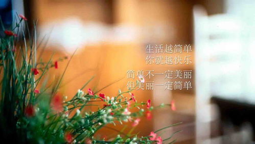 句子,激勵(lì),能量