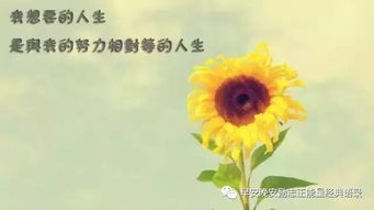 勵(lì)志句子早安心語正能量