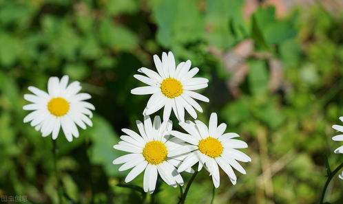 共同進(jìn)步的正能量句子