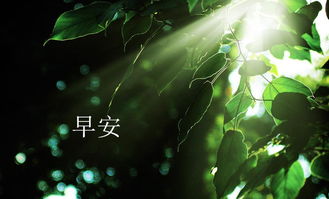 兒童正能量大全集,霸氣正能量大全集,幼兒園正能量大全集