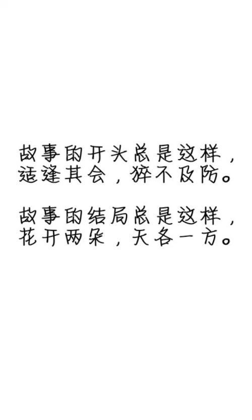 快手,短語,句子,能量