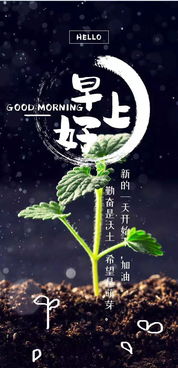 晨起工作激勵人心的正能量句子