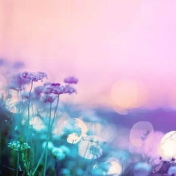 女人正能量激勵(lì)人的好句子大全