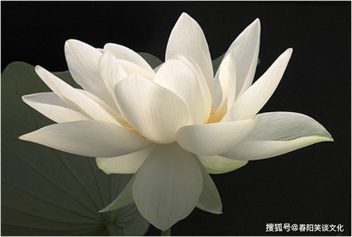 充滿工作正能量的句子,早晨充滿正能量的句子,充滿正能量的勵志句子