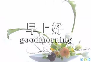 早上問好的正能量句子和大全,早上激勵(lì)的正能量的句子和,早上努力正能量的句子和