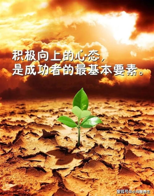 句子,能量,努力,經(jīng)典