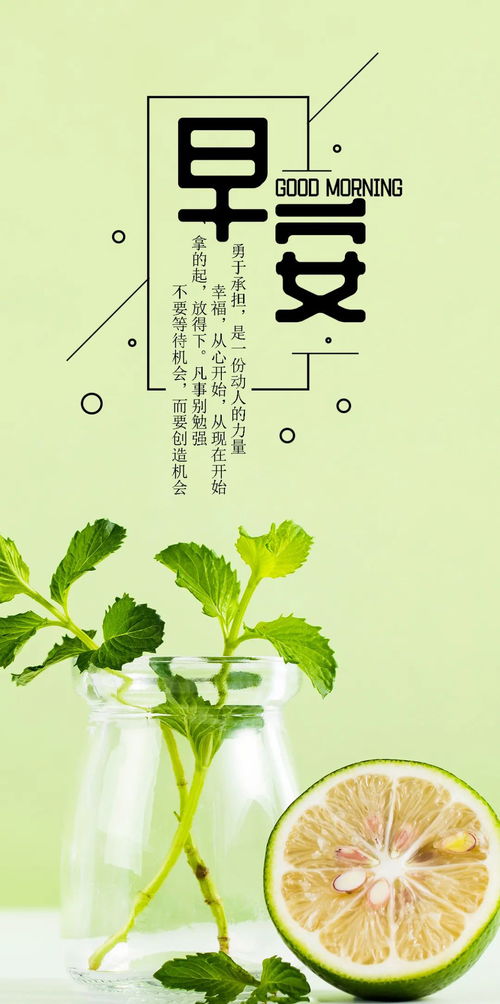 句子,能量,溫暖,可愛