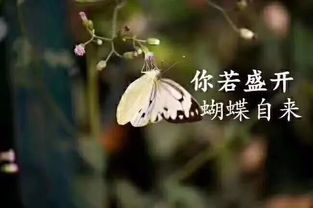 社會(huì)正能量的名言句子