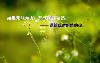 團隊溫暖正能量的句子,善良溫暖正能量的句子,陽光溫暖正能量的句子