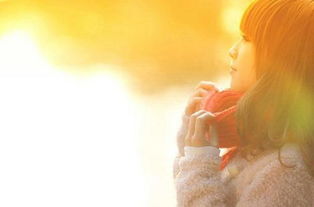 句子,能量,相關(guān),教育