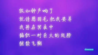 句子,開會,能量,分享