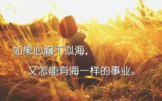 正能量的句子人生感悟陽光,正能量的句子人生感悟努力工作,正能量的句子人生感悟努力工作100字